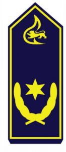 Schulterstück "Stadtranddirektor"